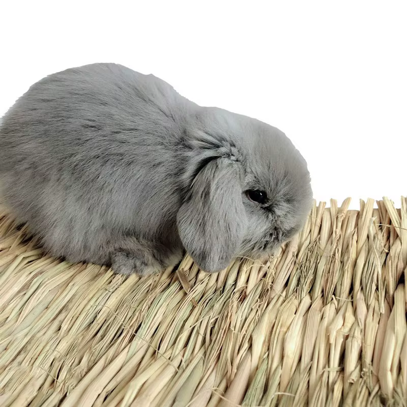 Natural Woven Grass Mat for Rabbits and Small Pets - Image 3