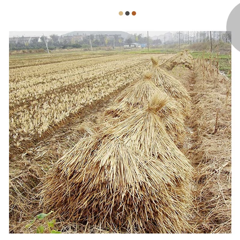 Natural Woven Grass Mat for Rabbits and Small Pets - Image 7