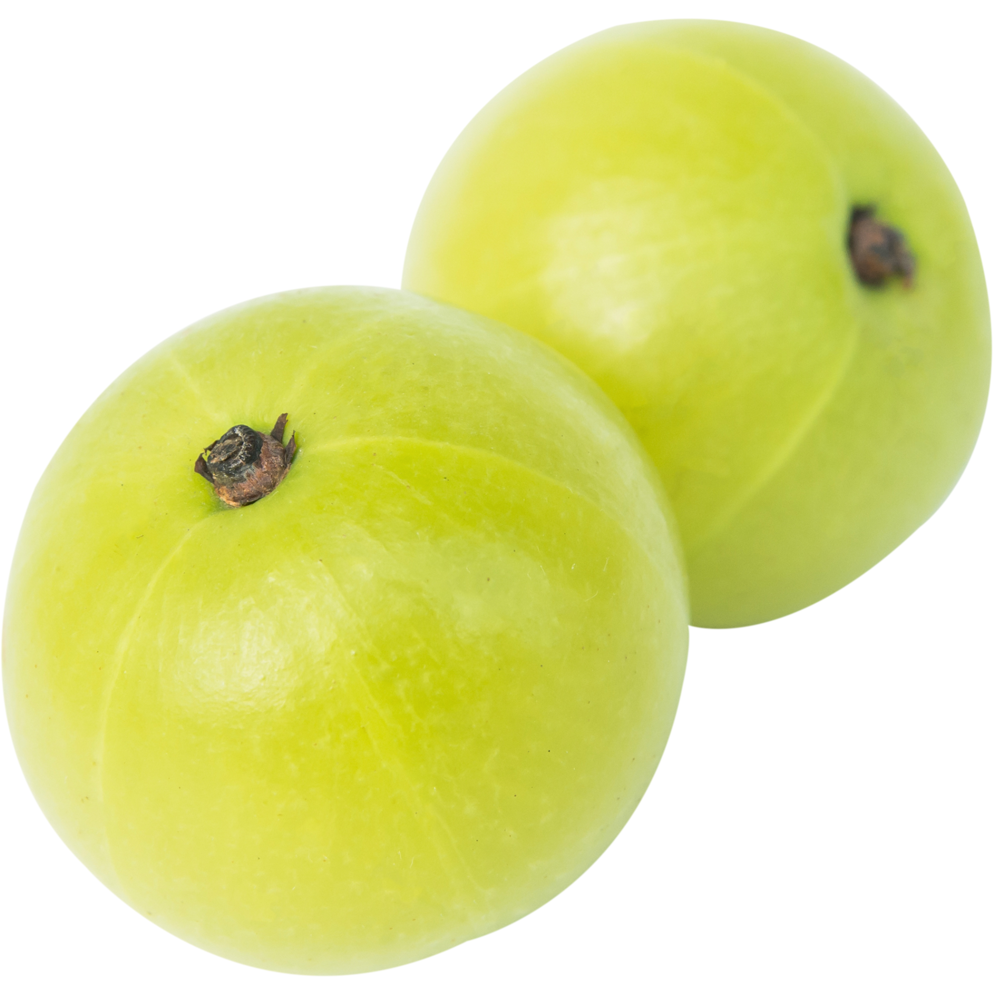 Gooseberry illustration for rabbit treat guide