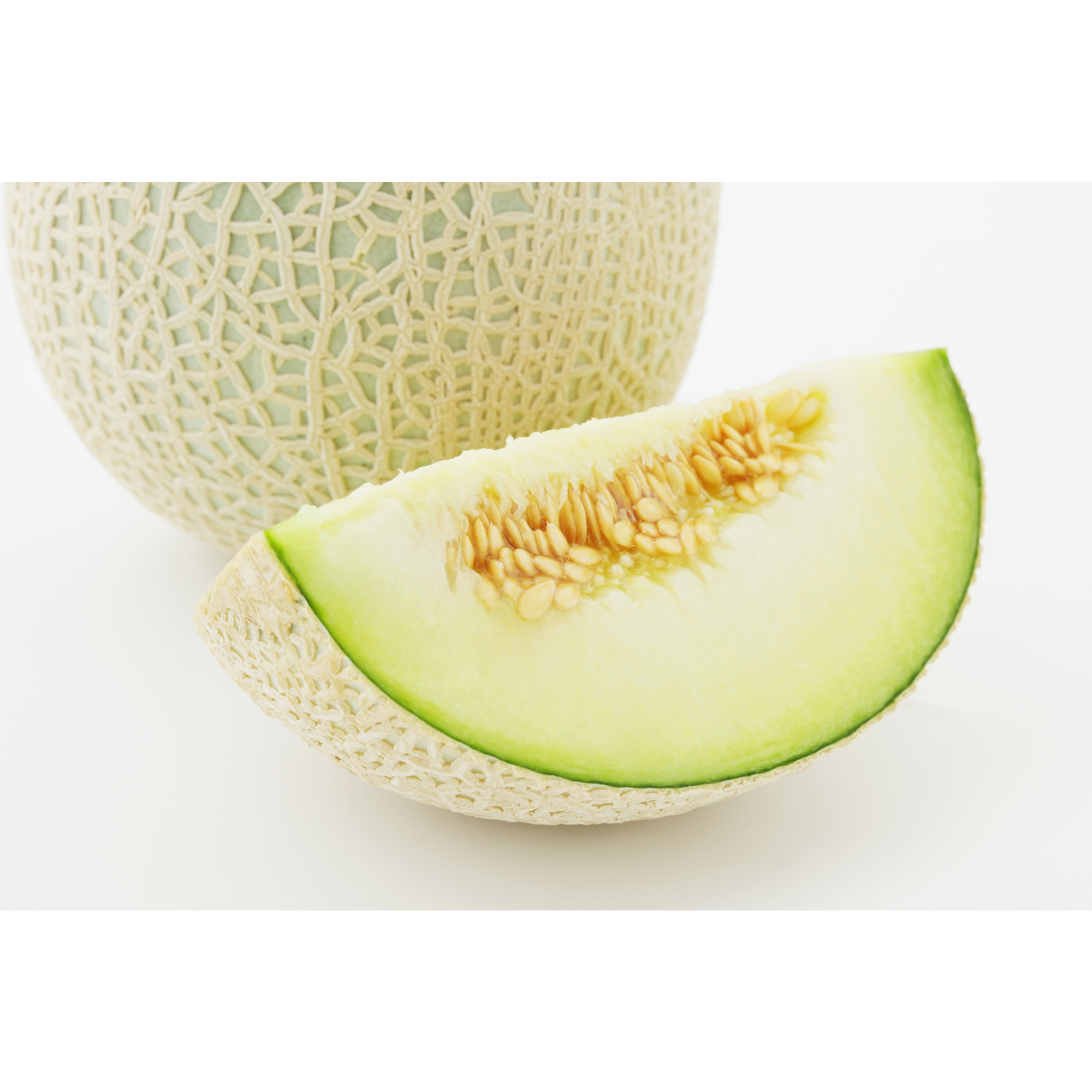 Honeydew melon illustration for rabbit treat guide