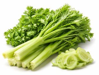 Celery illustration for rabbit vegetable guide