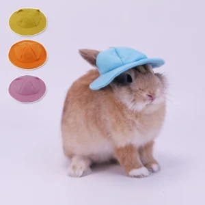 Supervised Rabbit Photo Cap