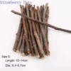 Natural Apple Wood Chew Sticks for Rabbits