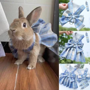 Supervised Rabbit Photo Outfit and Lead Set