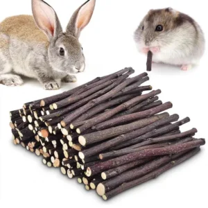 Apple Wood Chew Sticks for Rabbits