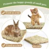 Natural Grass Enrichment Mat for Rabbits