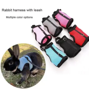 Small Pet Harness and Lead Set