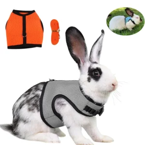 Supervised Mesh Small Pet Harness and Lead Set