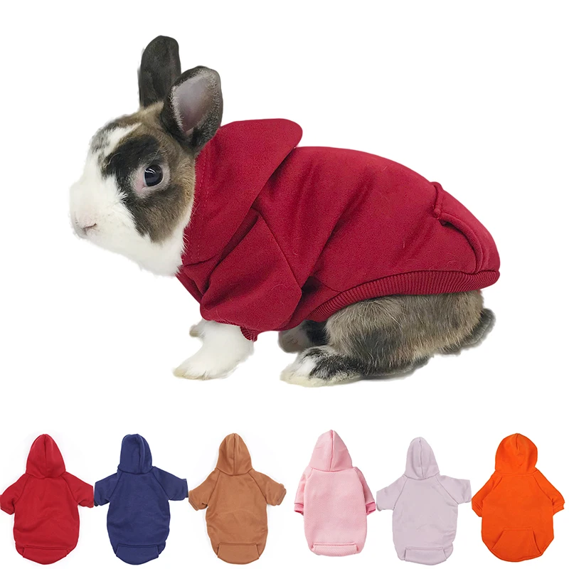 Supervised Rabbit Photo Sweater