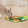 Rabbit Foraging Mat for Enrichment