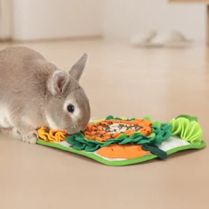 Rabbit Foraging Mat for Enrichment