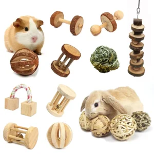Natural Wooden Play Toys for Rabbits