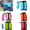 Supervised Mesh Small Pet Harness and Lead Set