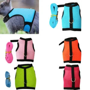 Supervised Mesh Small Pet Harness and Lead Set